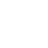 Domain Protection Law icon