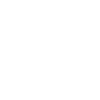 IP Investigation icon